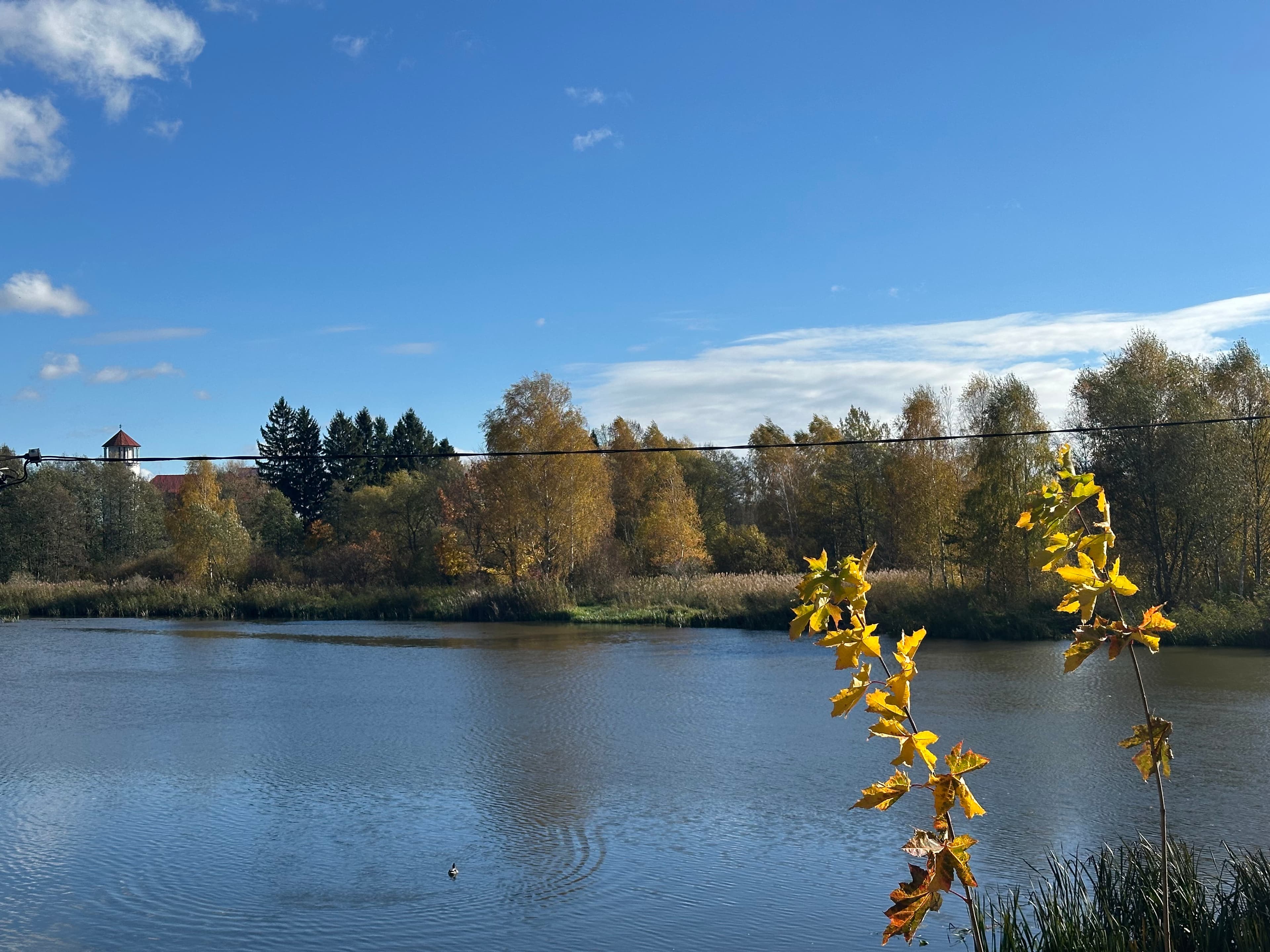 Jesienny widok na rzekę Sannę