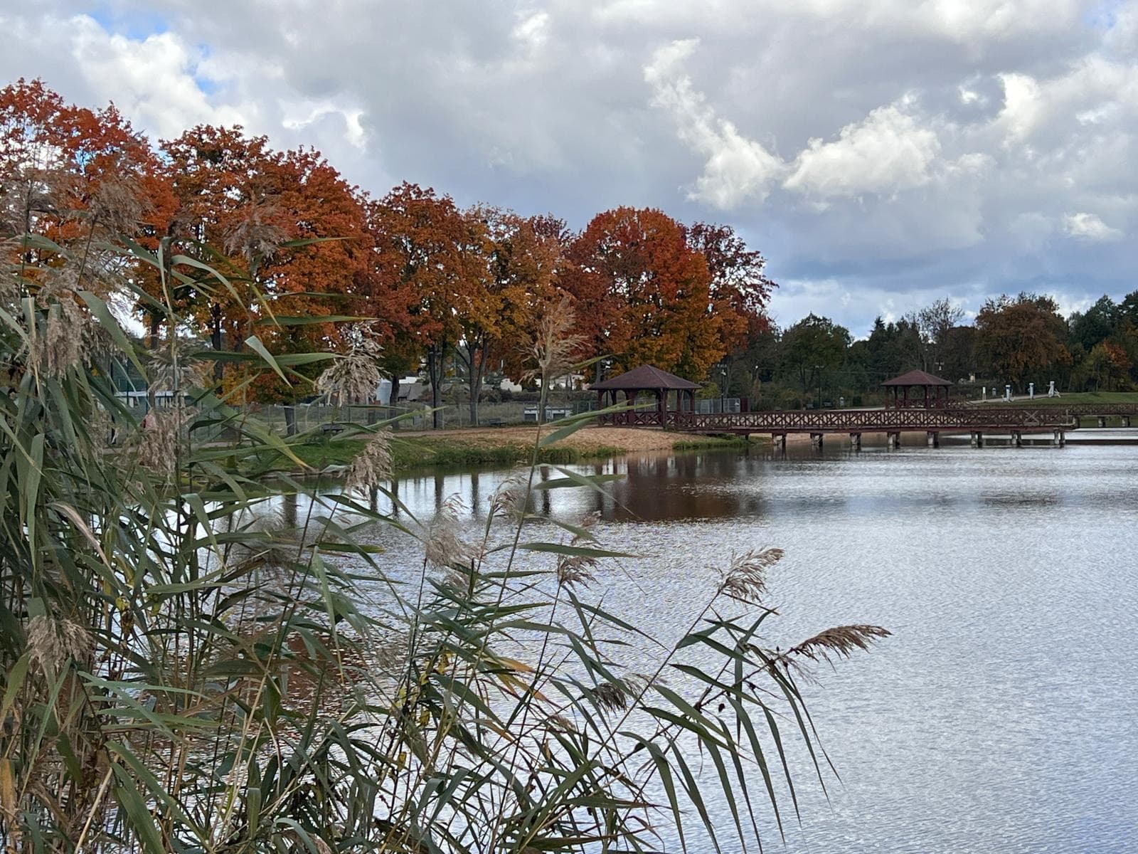 Spokojny zakątek nad rzeką — przestrzeń do pracy lub odpoczynku